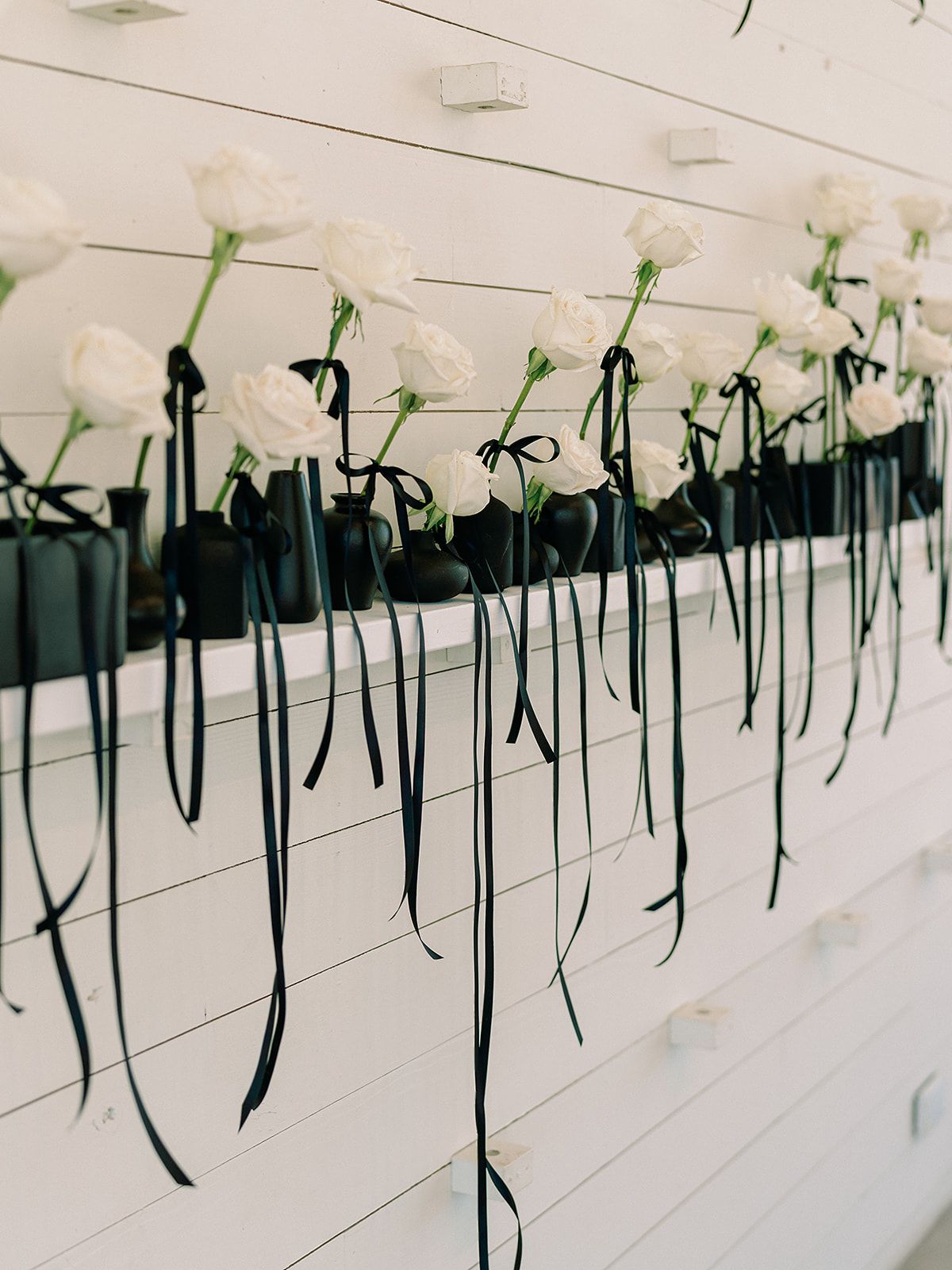 White flowers with long dark green stems arranged along a white wooden wall.