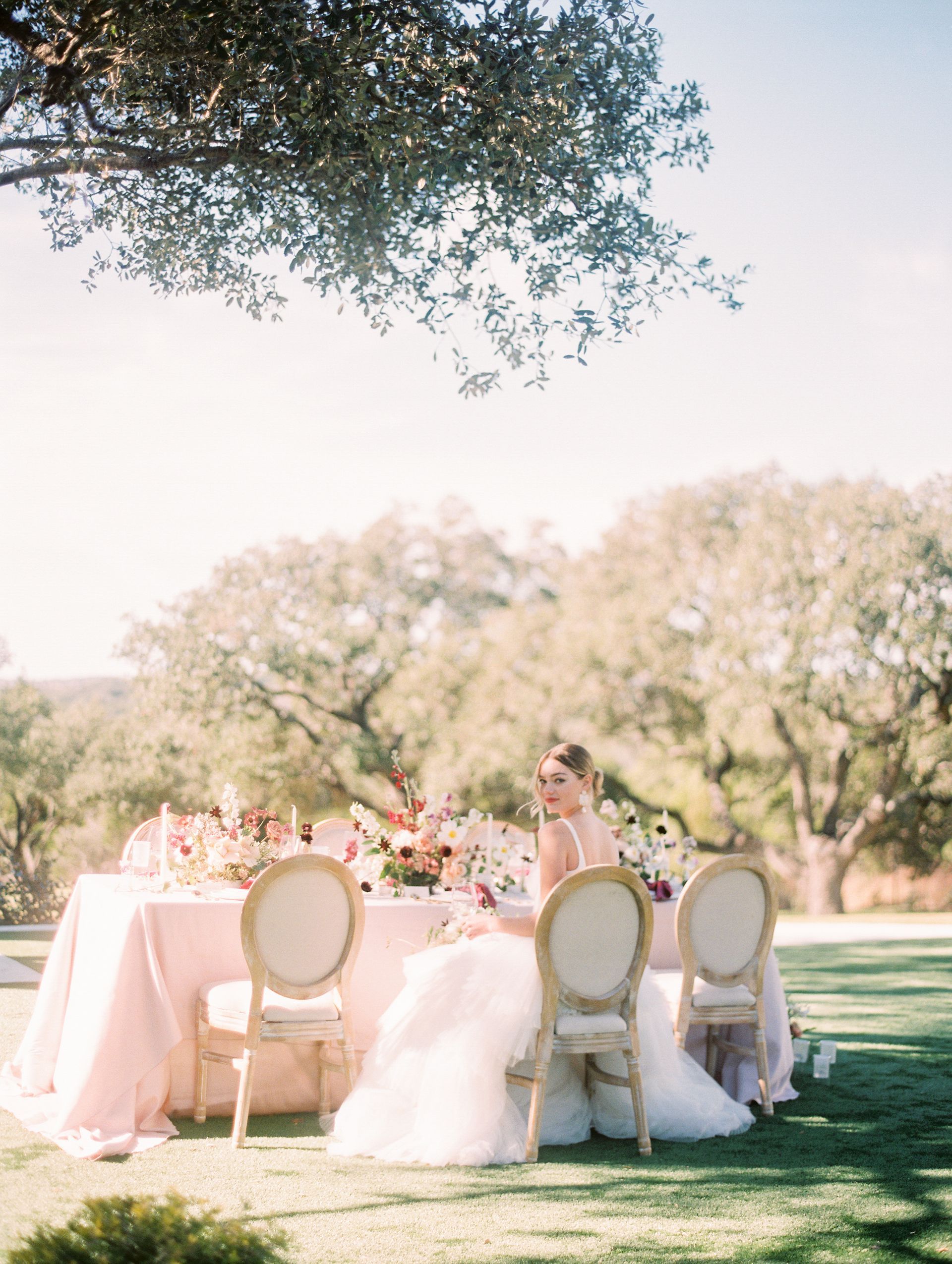 Outdoor wedding reception with a bride seated at a long table under trees on a sunny lawn