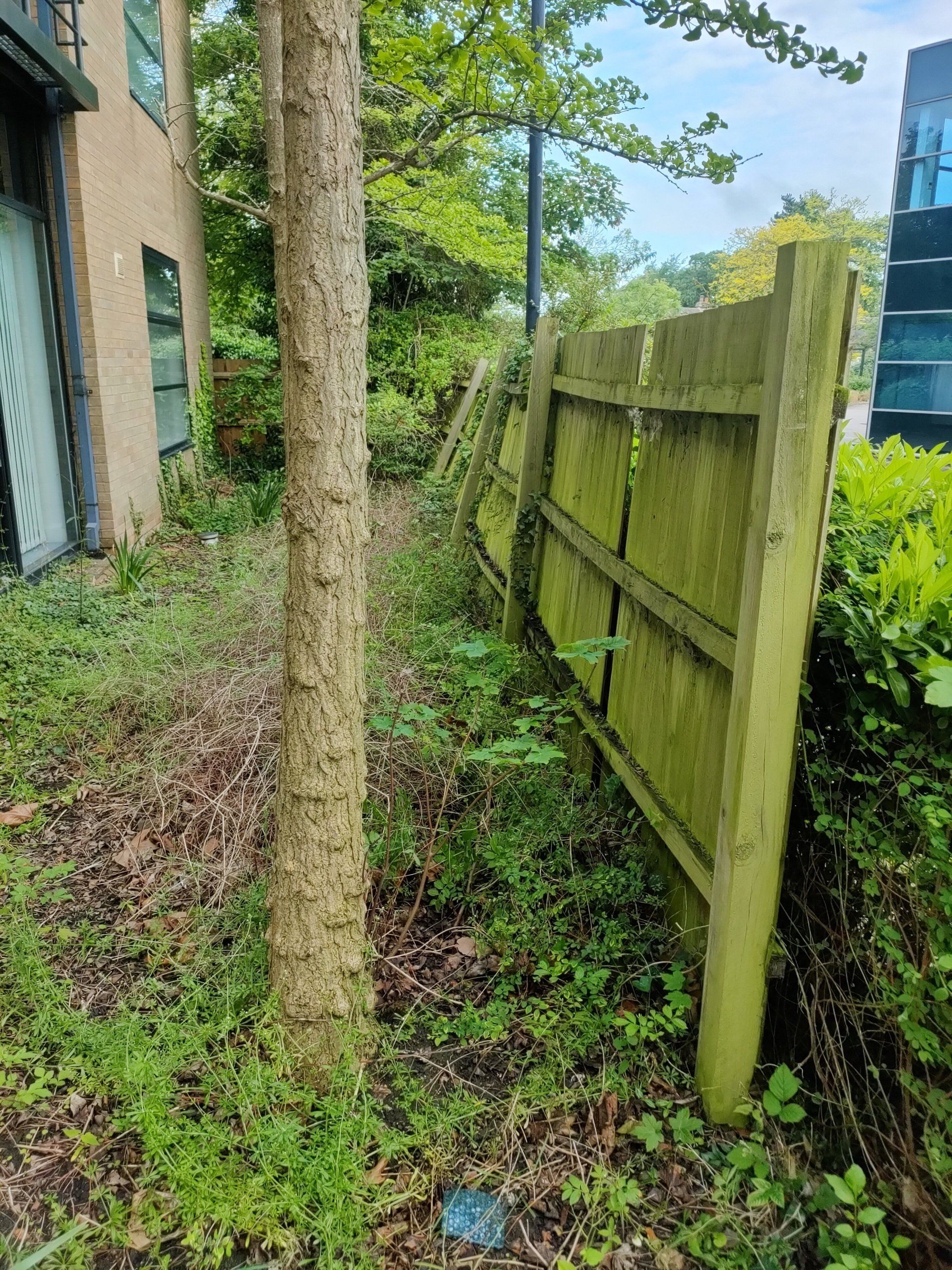 A broken down fence between two companies, giving a poor business image.
