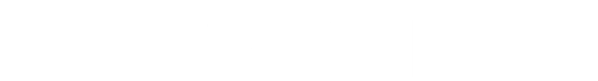 Blank white rectangle with a thin black border across the top and bottom edges.