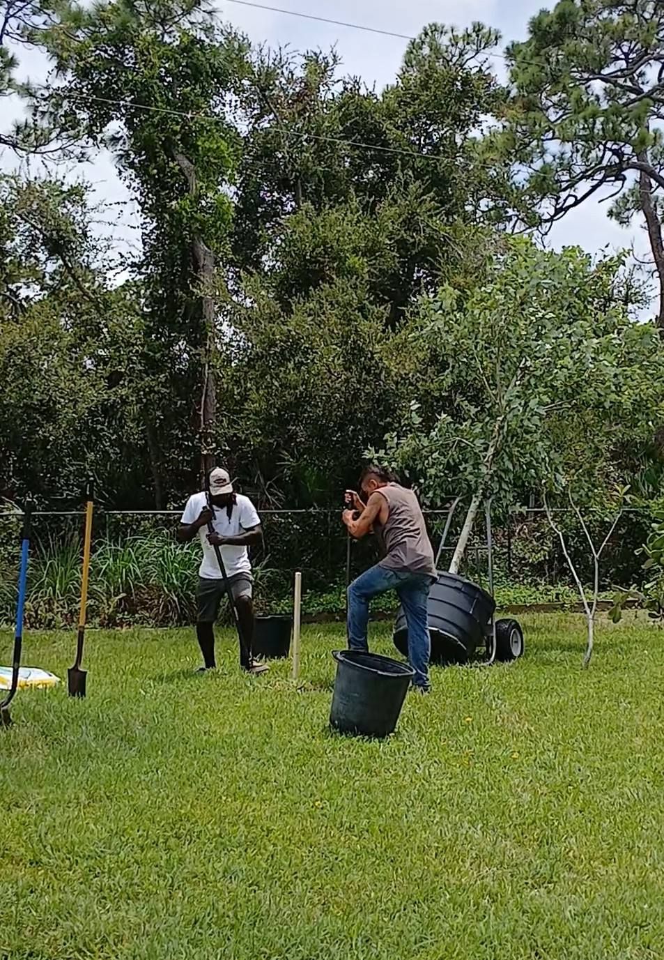Two people planting in a backyard. One holds a shovel; the other stands on a bucket. Green grass, trees, and tools are visible.