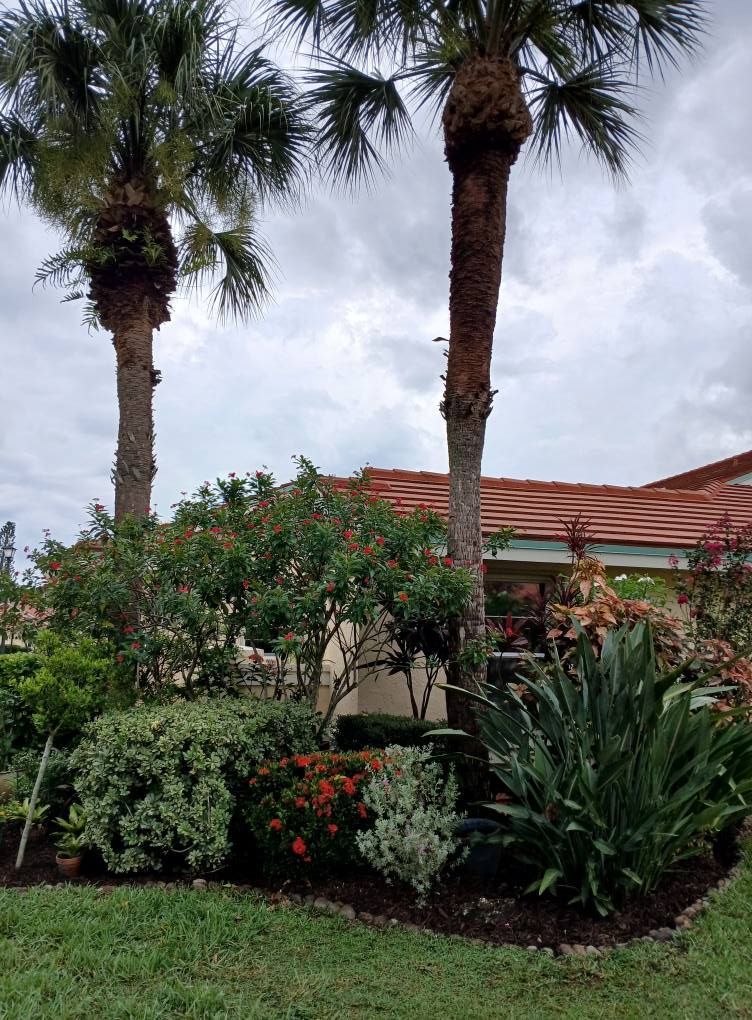 Two palm trees frame a landscaped garden with varied green plants and red flowers in front of a house.