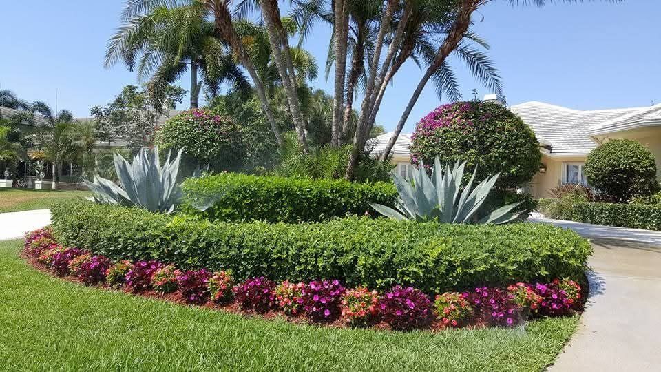 Landscaped garden bed with green shrubs, agave plants, and flowering plants in front of a house.