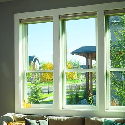 Bright living room window overlooking a sunny garden and house exterior.