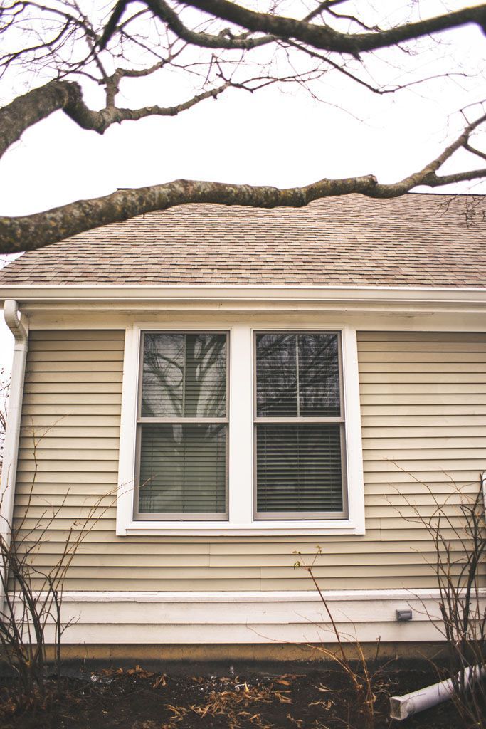 House exterior with white siding and two front windows beneath tree branches