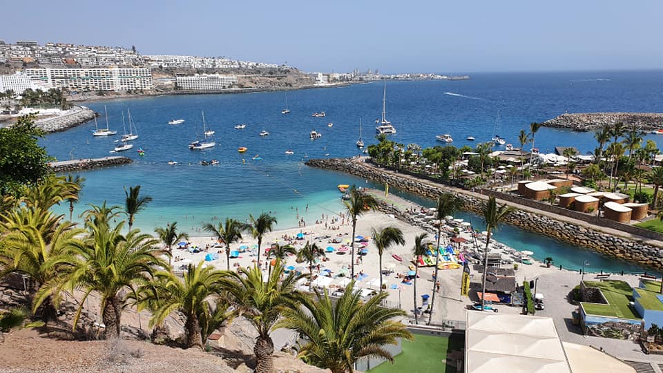 Eine Luftaufnahme eines Strandes mit Palmen und Booten im Wasser