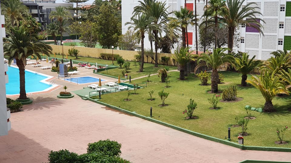 Ein großer Swimmingpool ist von Palmen und einem üppigen grünen Rasen umgeben.