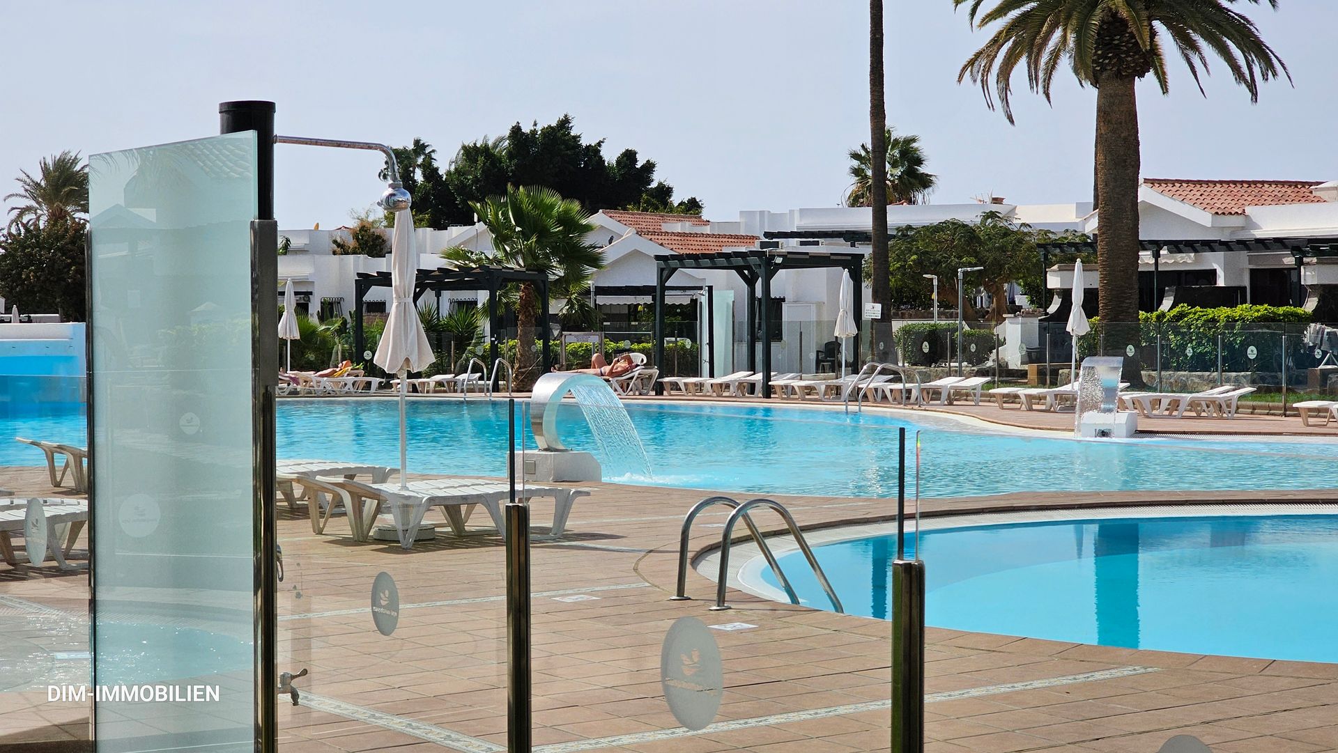 Ein großer Swimmingpool mit einer Palme im Hintergrund