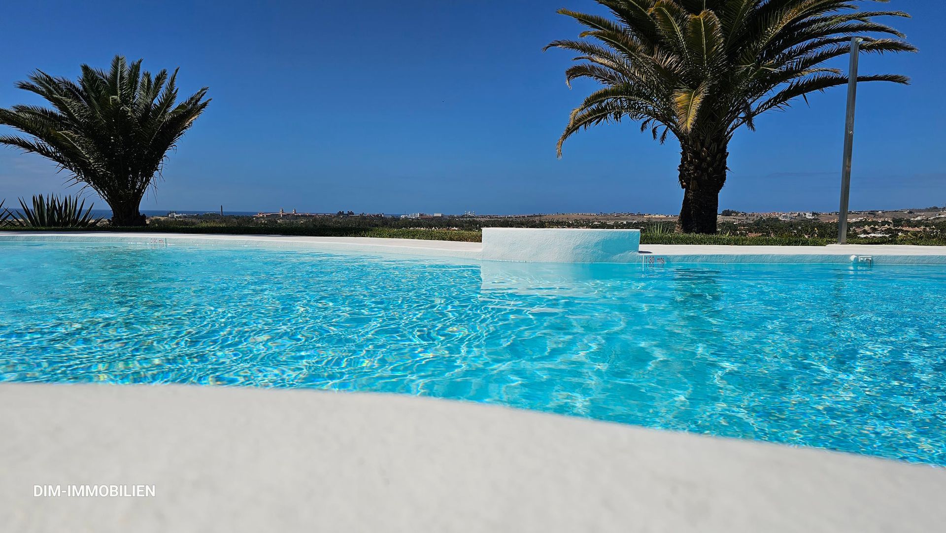 Ein großer Swimmingpool mit Palmen im Hintergrund