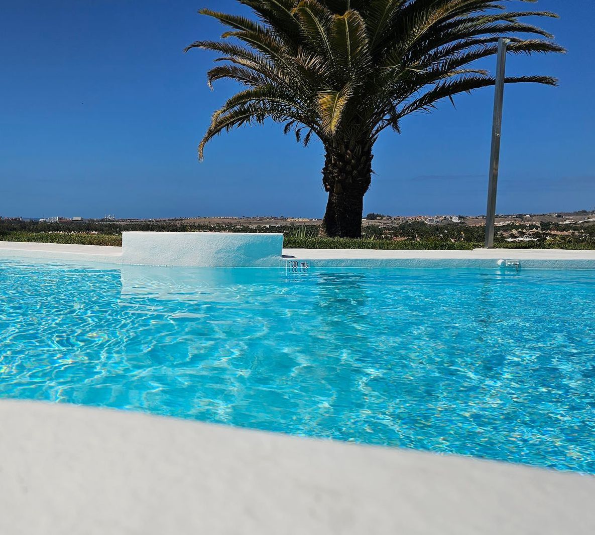 Ein Swimmingpool mit einer Palme im Hintergrund