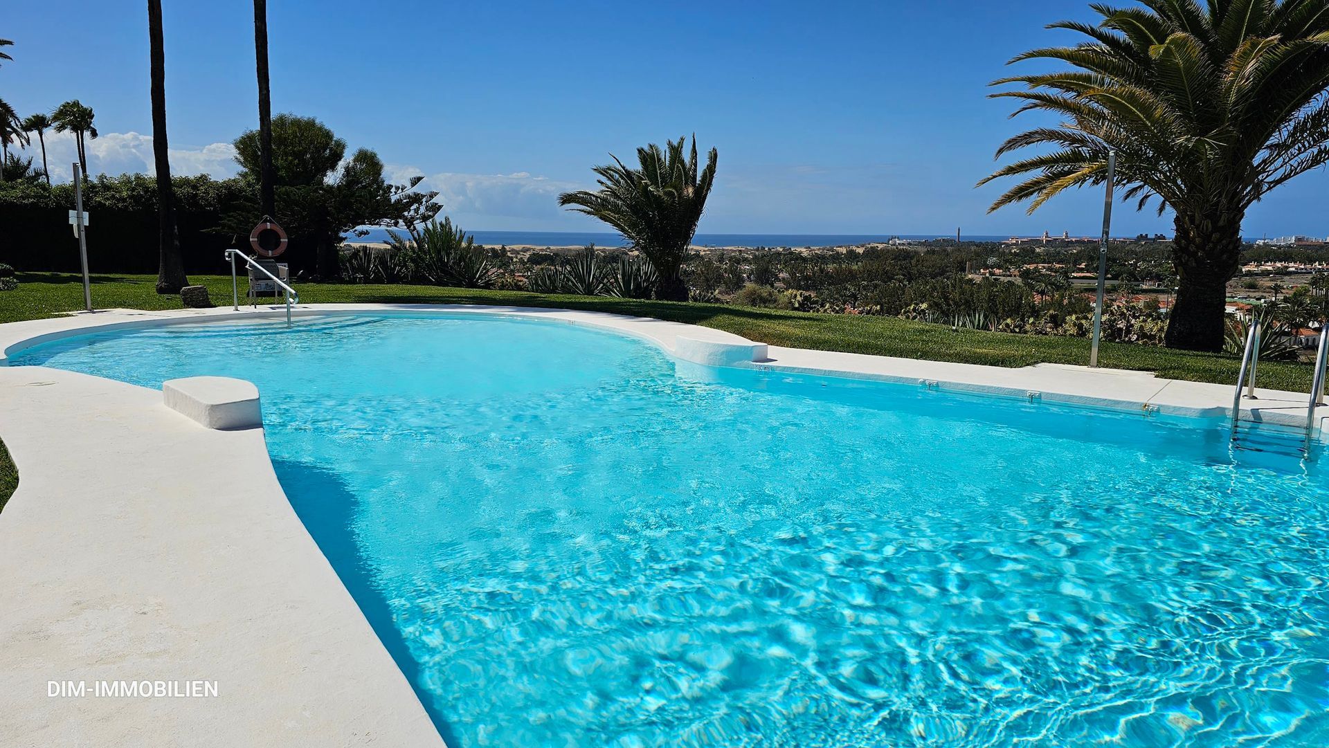 Ein großer Swimmingpool mit Palmen im Hintergrund