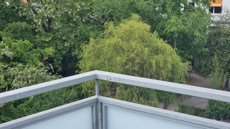 Ein Balkon mit Aussicht auf Bäume und ein Gebäude.
