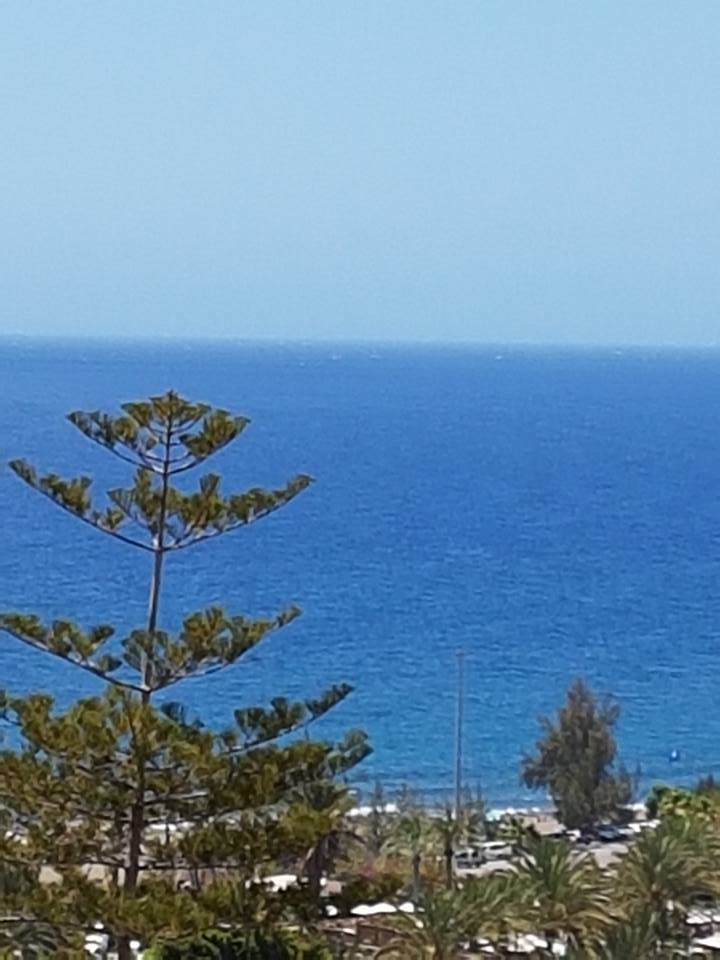 Ein Blick auf das Meer mit Bäumen im Vordergrund