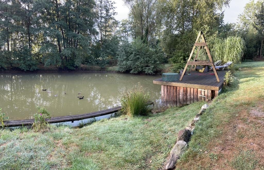 Ein Teich mit Enten darin und einer Holzkonstruktion in der Mitte.