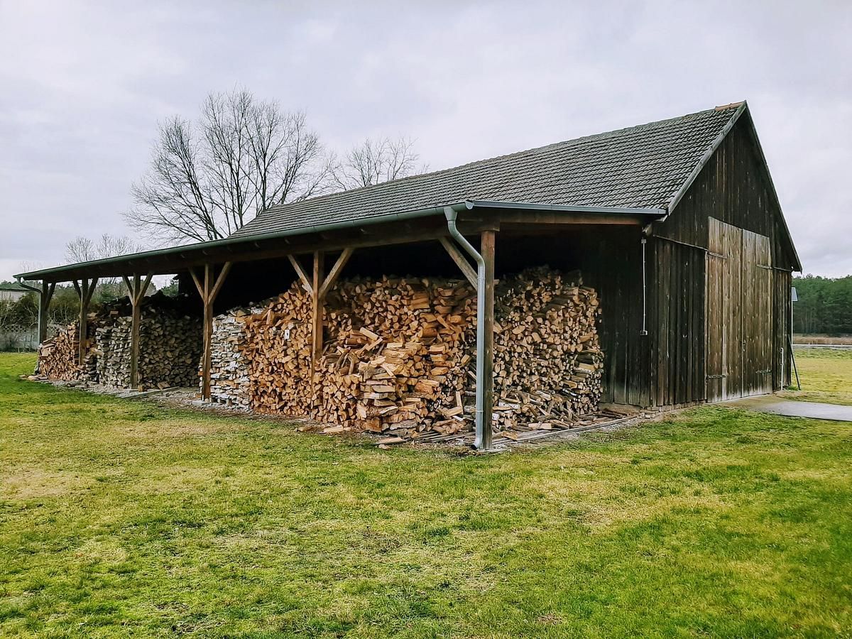Ein mit Holzstämmen gefüllter Schuppen auf einer Wiese.