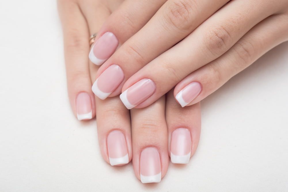 A Close Up of a Woman's Hands With French Manicure — Xquisite Styles in Kiama, NSW