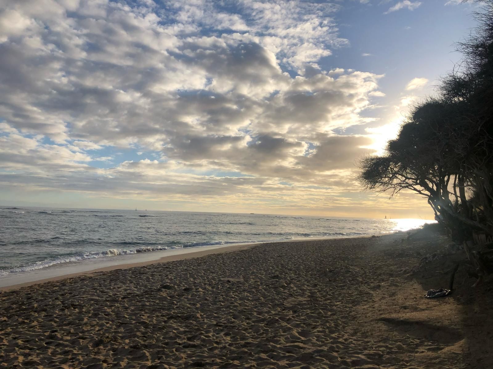Rocky beach at sunset with waves, cloudy sky, and silhouetted trees along the shore