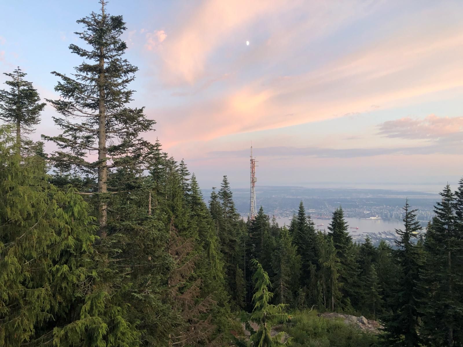 Evergreen trees on a hillside overlooking a city under a pastel sunset sky