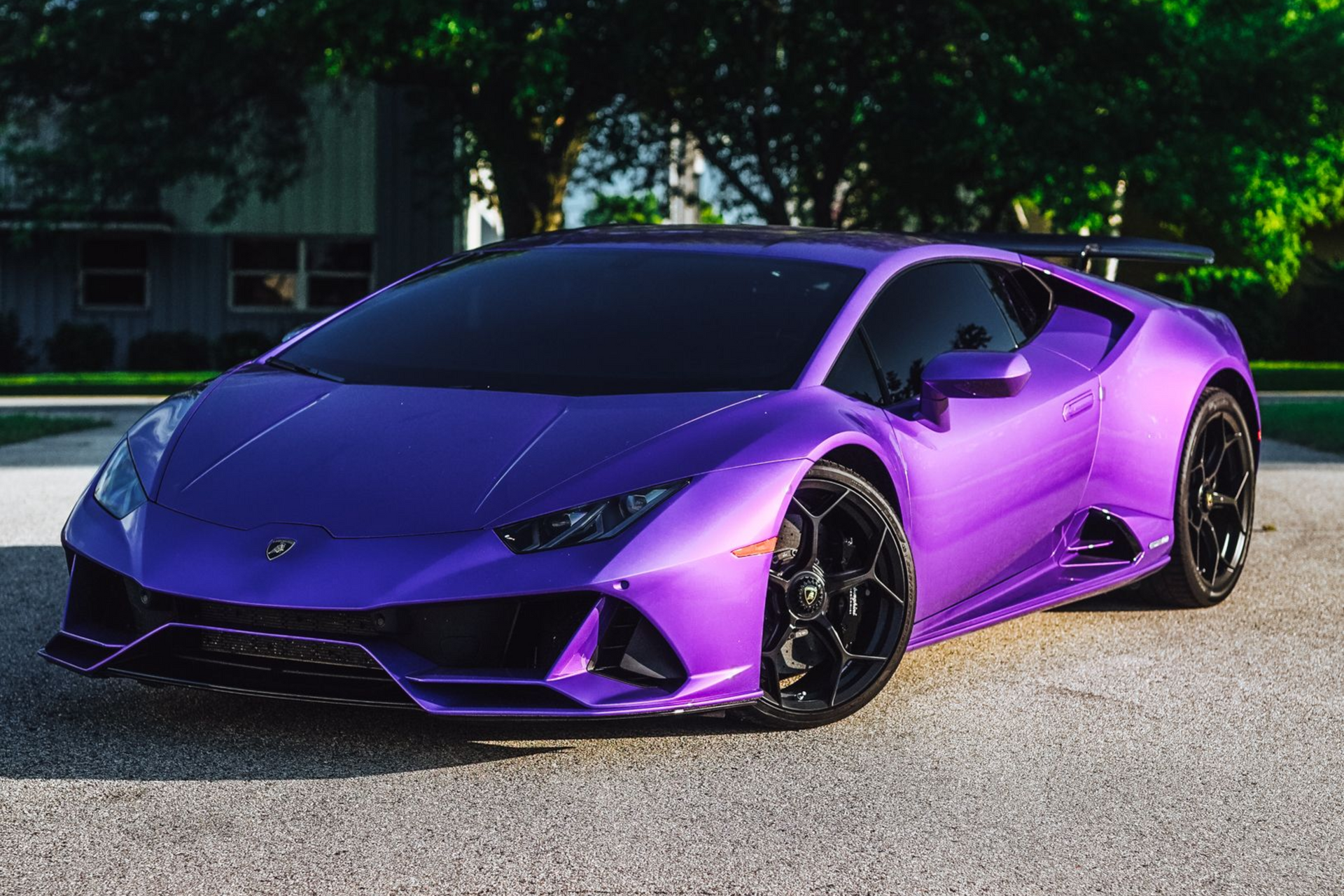 Purple Lamborghini parked on gravel in front of a green tree.