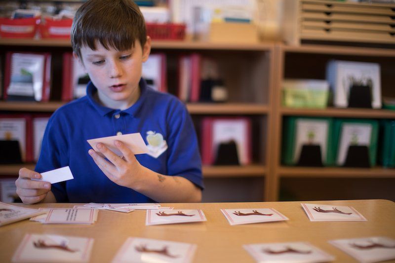 Child working with Montessori materials