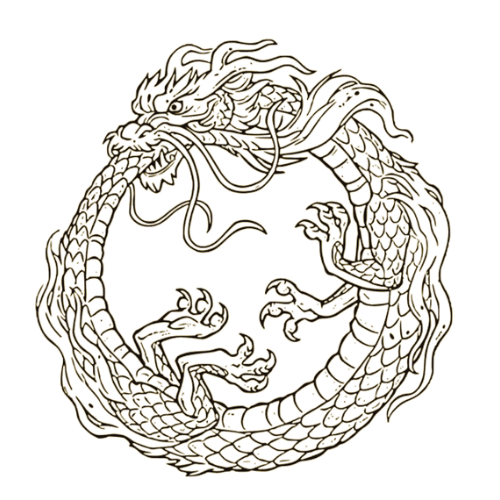 Dragon in a circle, biting its tail. Scales, claws, and flowing mane.
