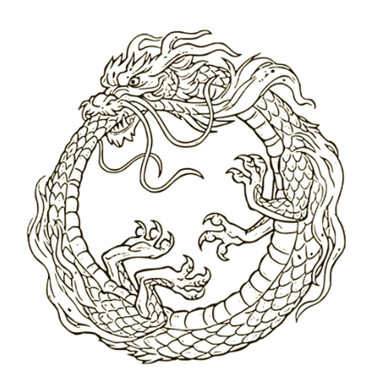 Dragon in a circle, biting its tail. Scales, claws, and flowing mane.