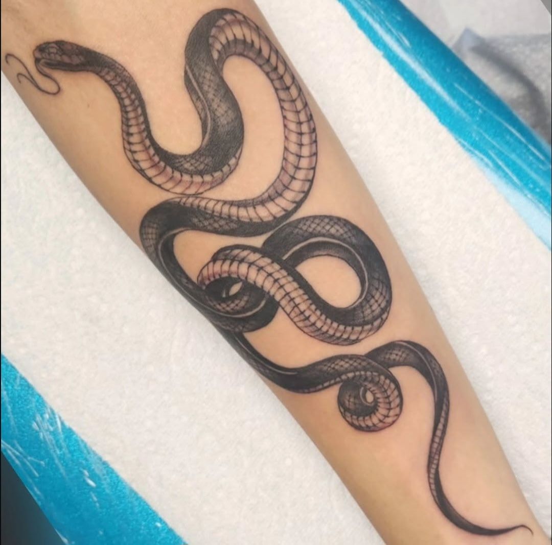 Black snake tattoo design on a forearm, with intertwined coiling bodies on a light background.