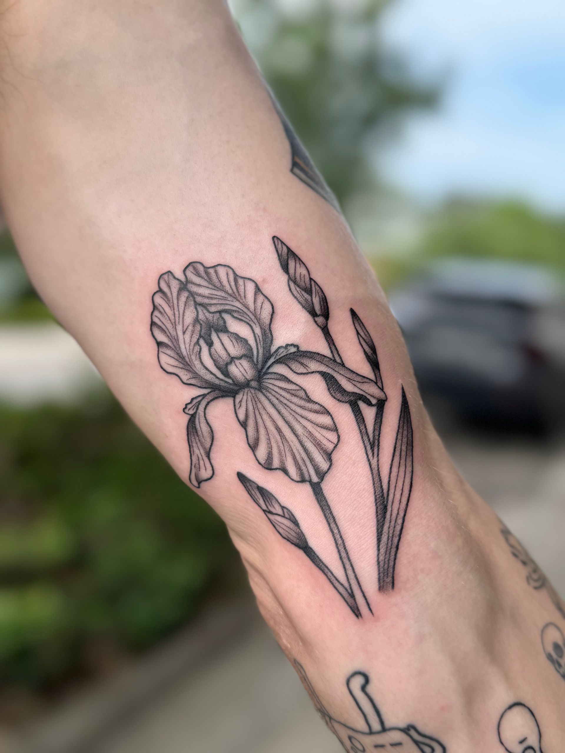Black line-art iris tattoo on a forearm with a blurred outdoor background