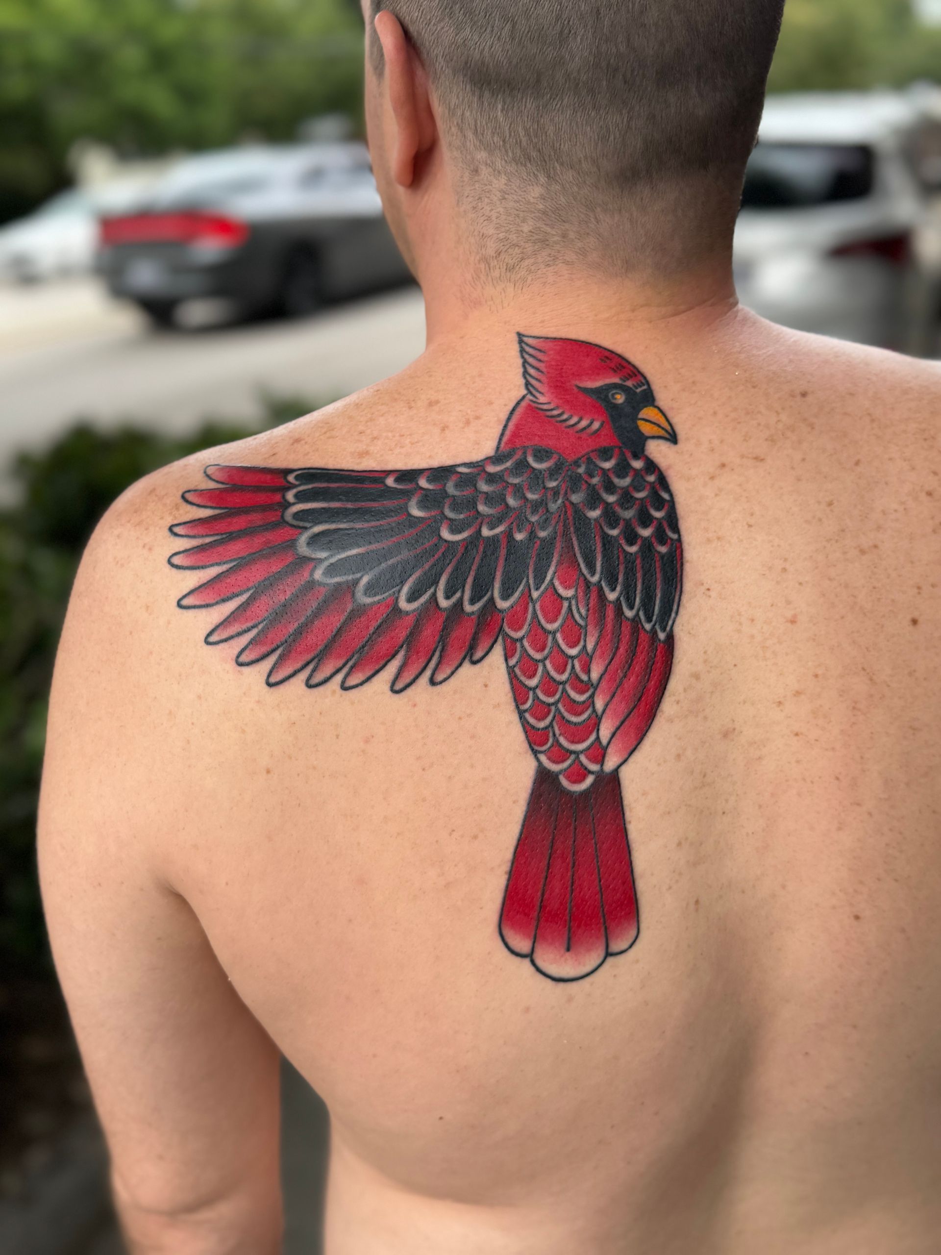 Back tattoo of a red and black bird with wings spread on a person’s upper back