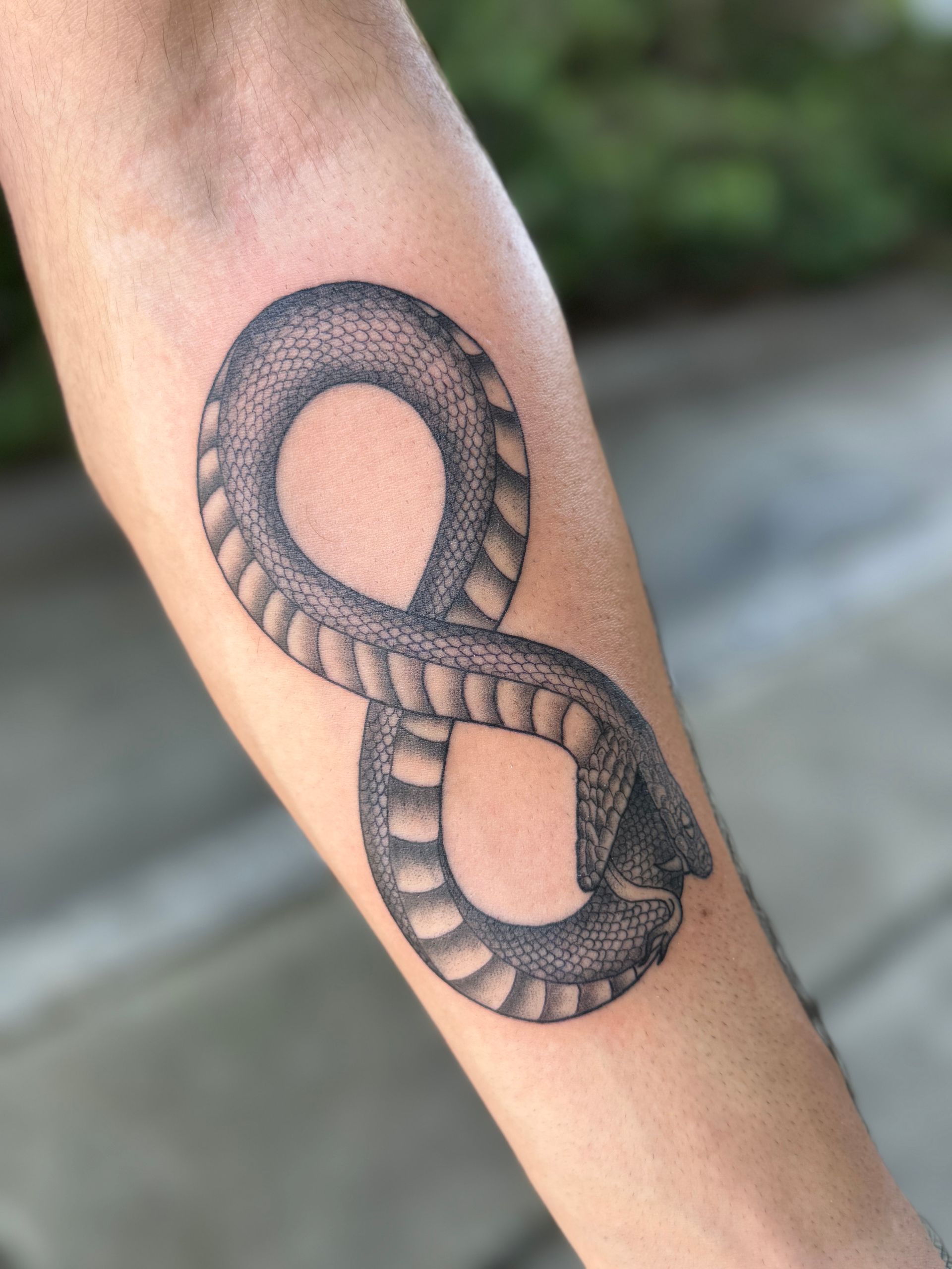 Black snake tattoo coiled in a figure-eight on a forearm.
