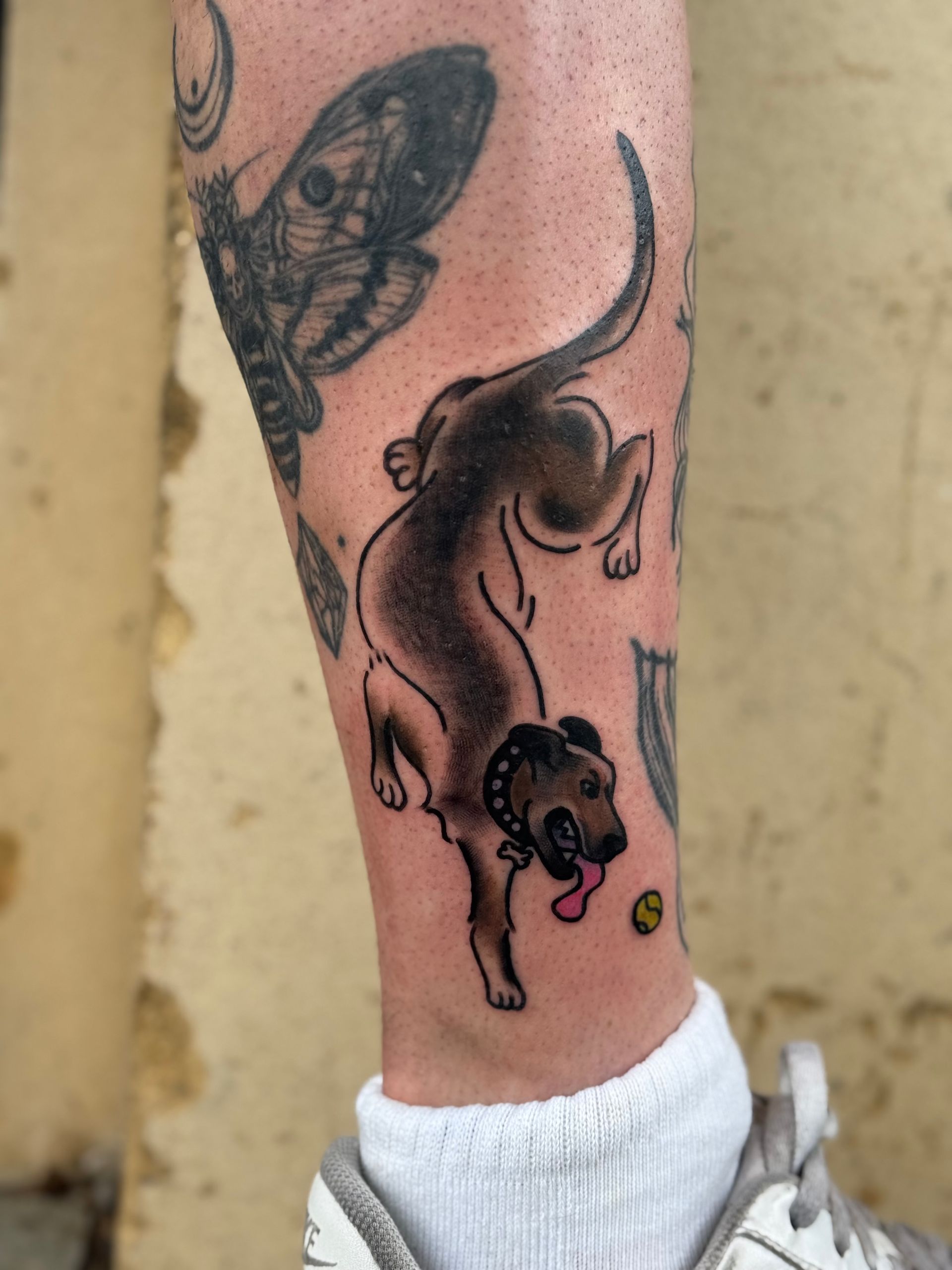 Leg tattoo of a black dog with tongue out beside a butterfly, on a person’s lower leg with white sock