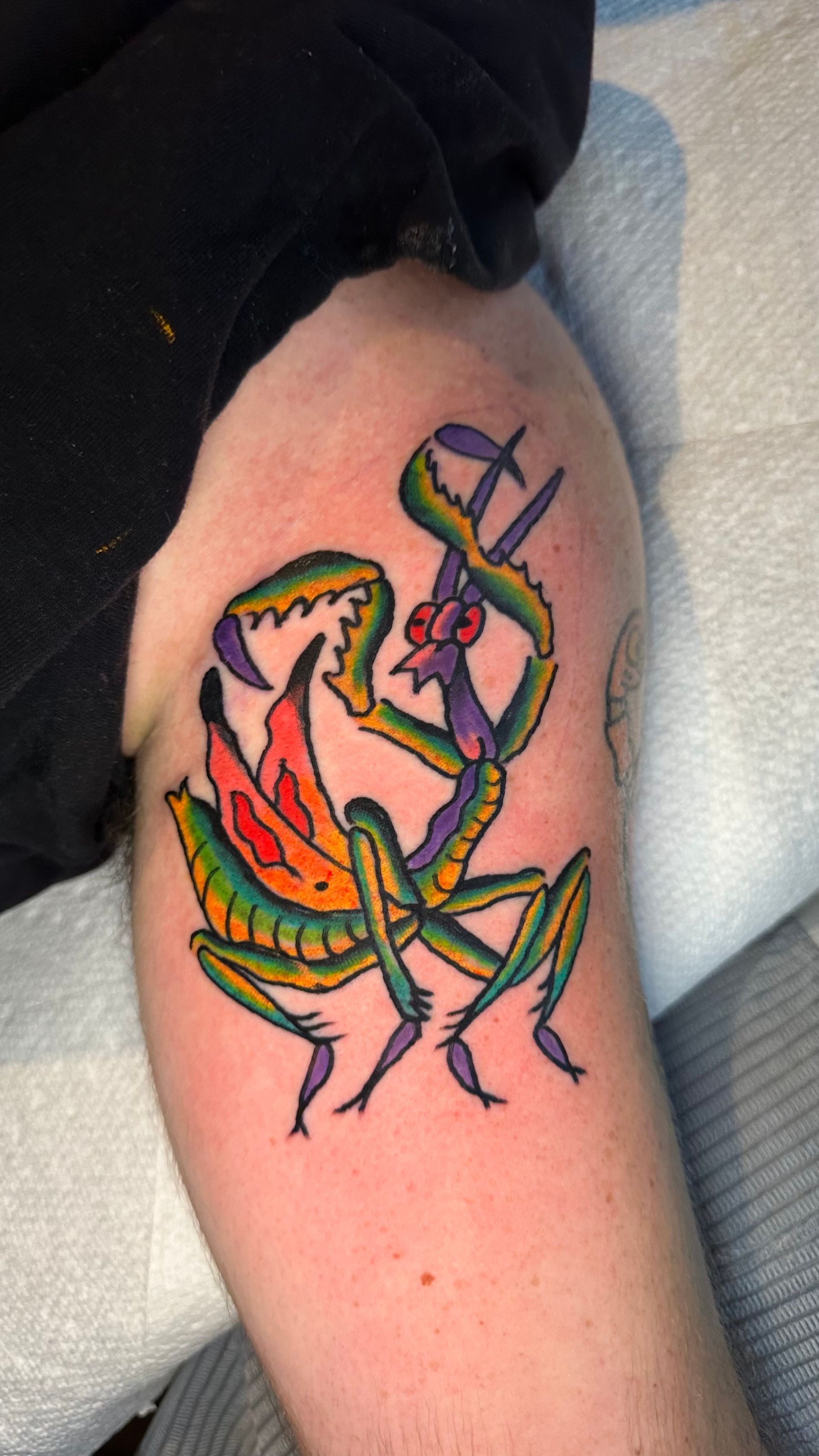Colorful insect tattoo on a forearm, showing green, pink, and orange wings and legs.