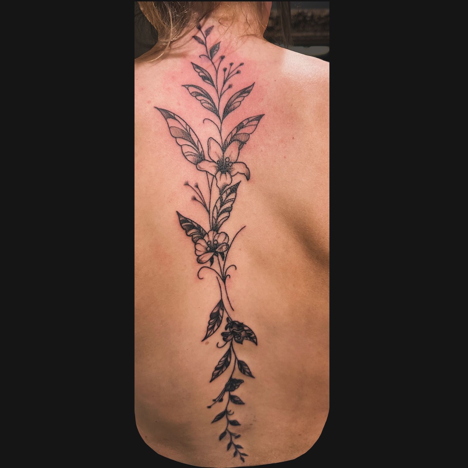 Back tattoo of a black floral vine running down the spine on a bare back