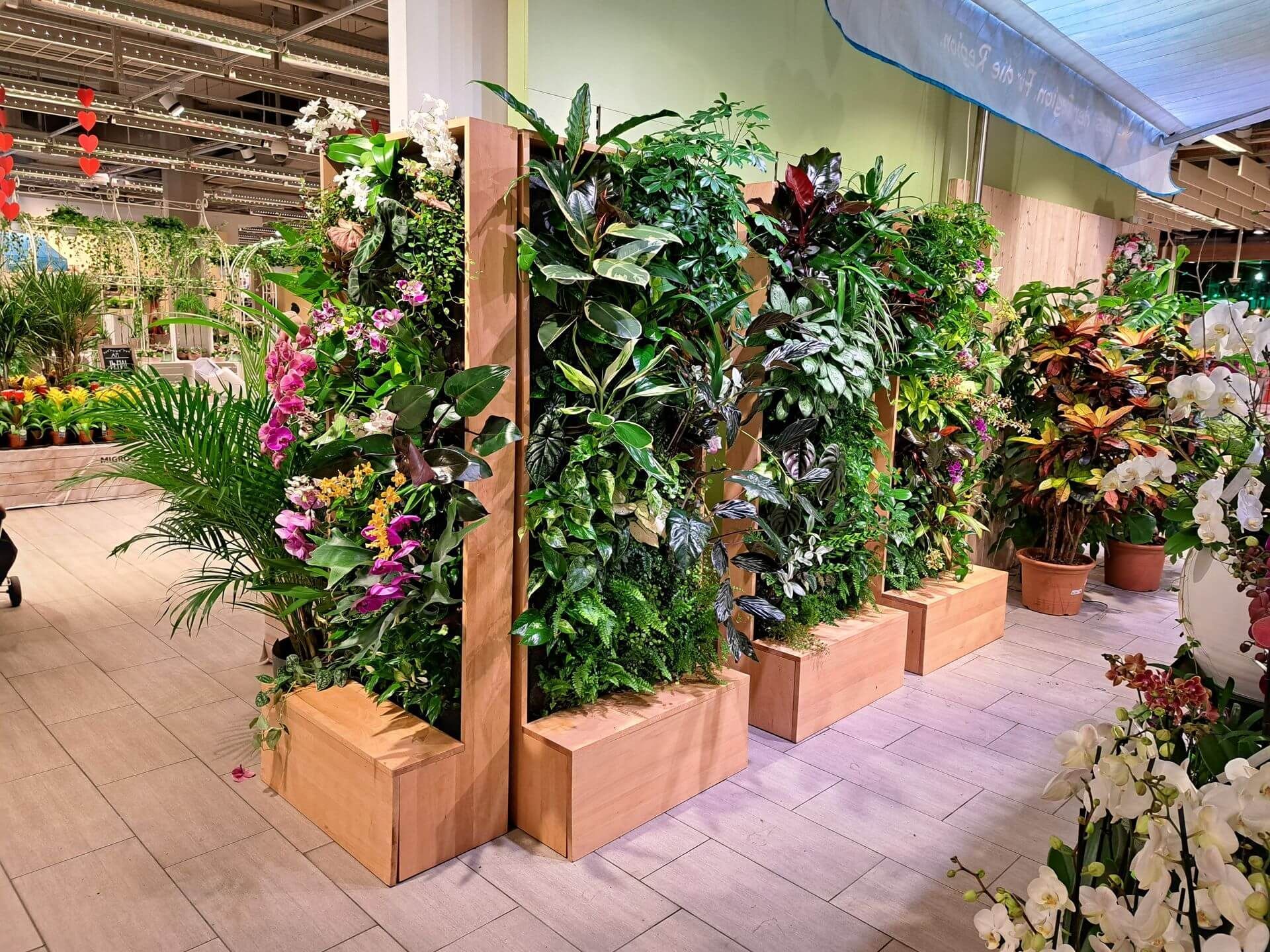 Pfalnzenwände Migros Glattzentrum