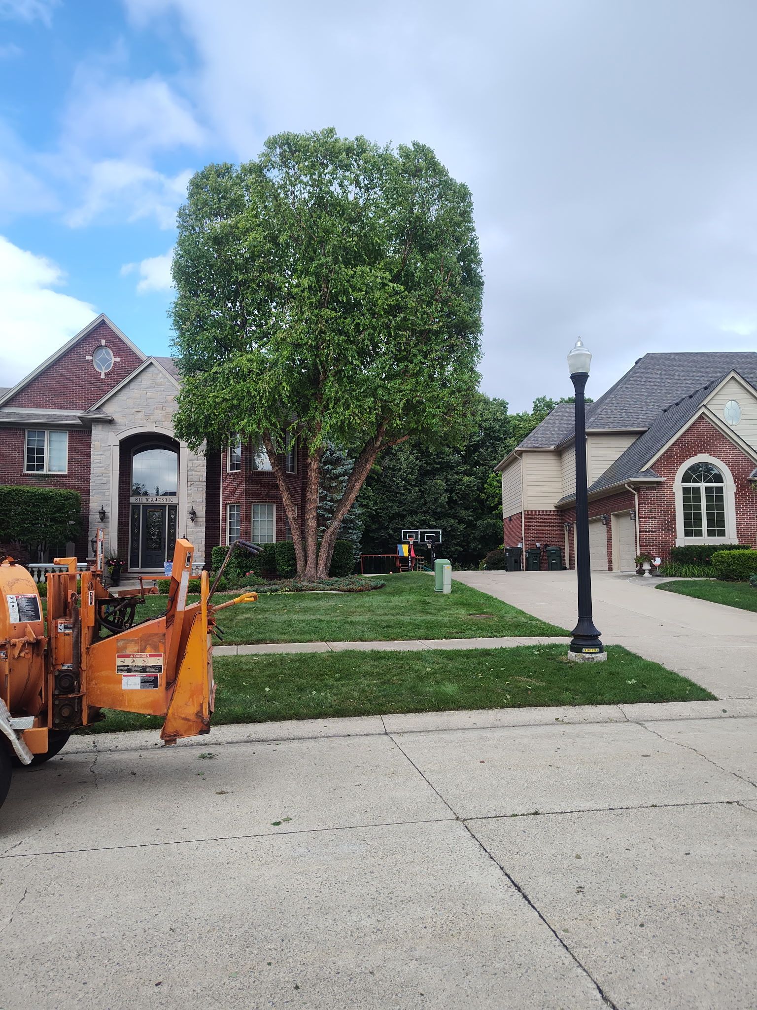 A tree being trimmed in front of a brick house, a wood chipper is in the foreground.