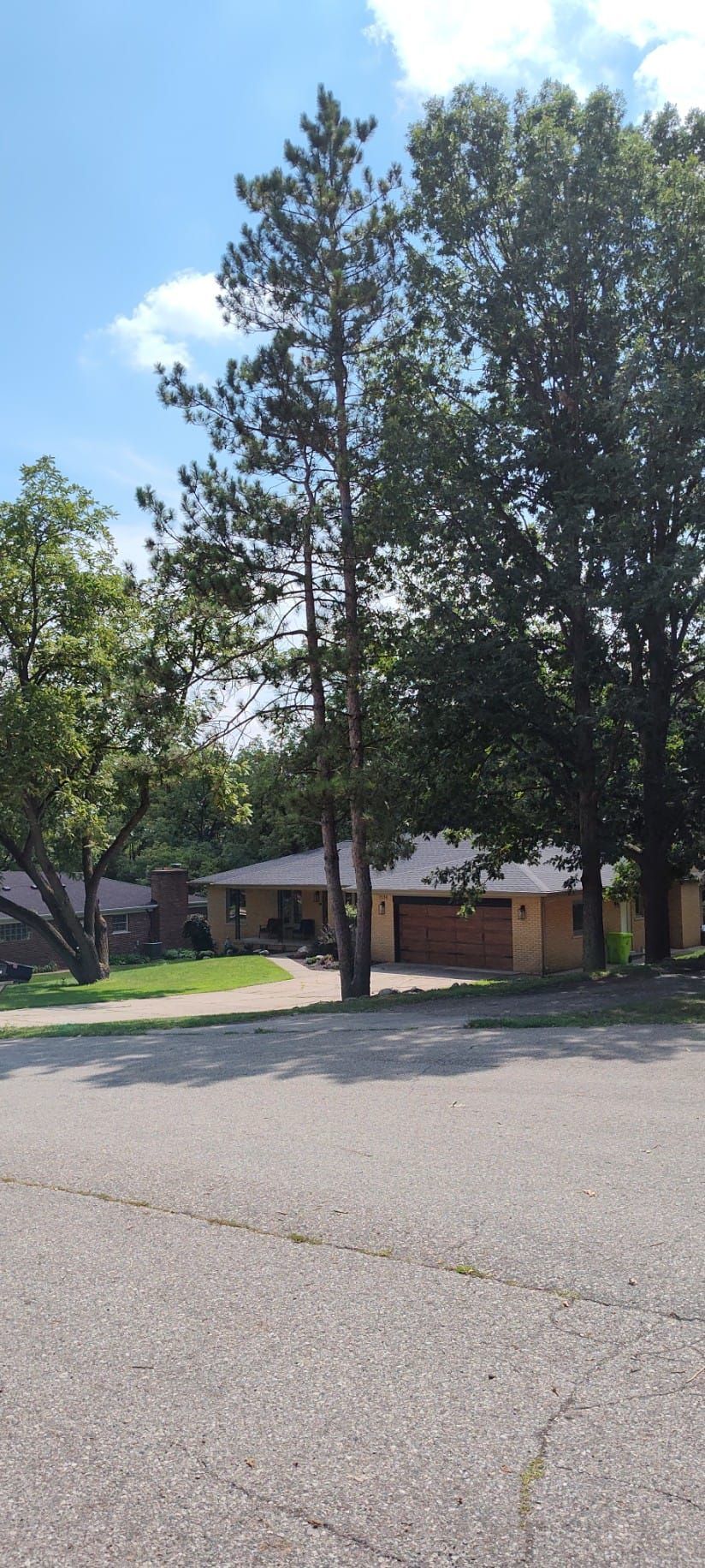 A house with a lot of trees in front of it.