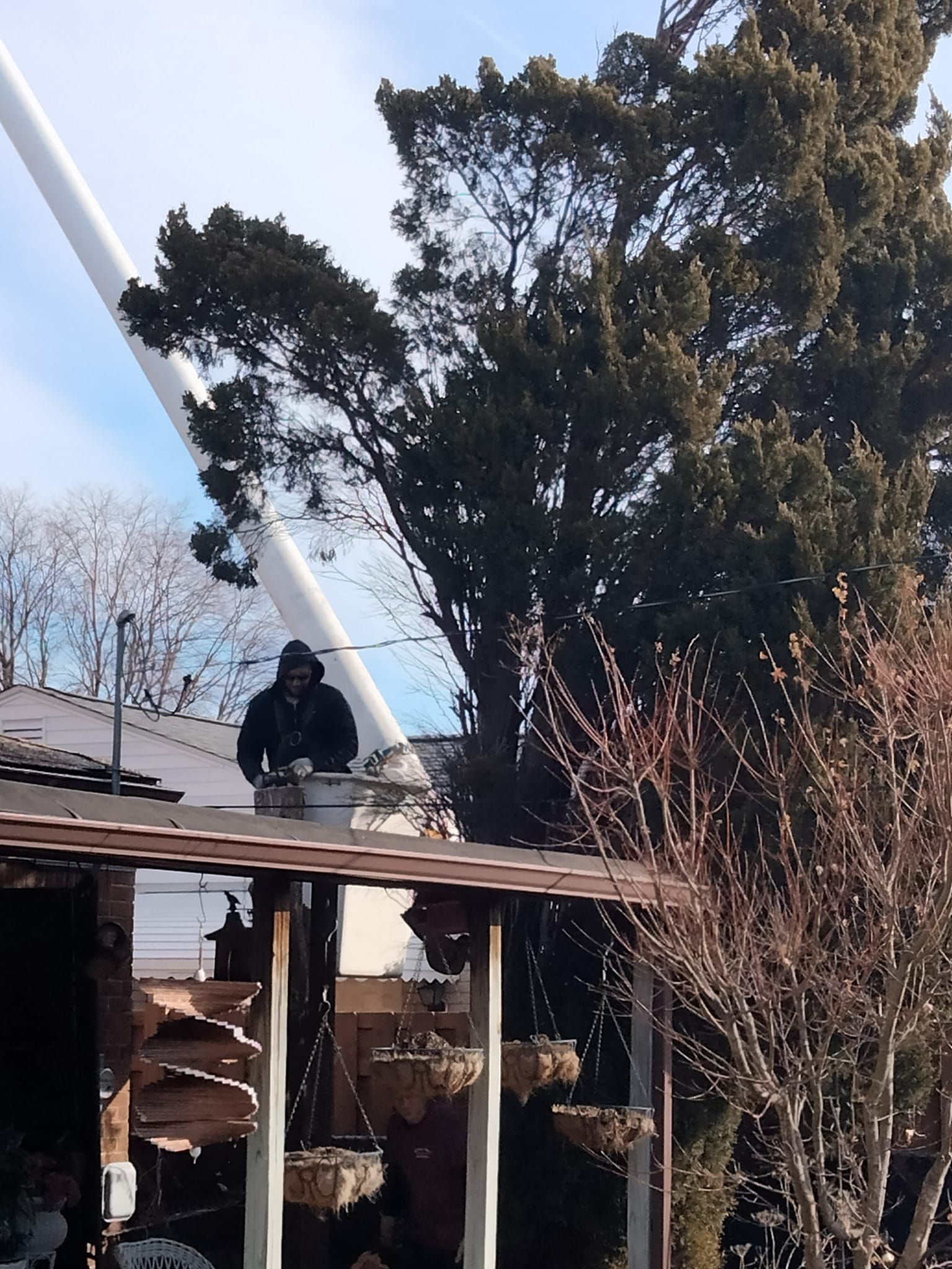 Worker on a roof beside a large tree, cutting branches with a bucket truck boom nearby.