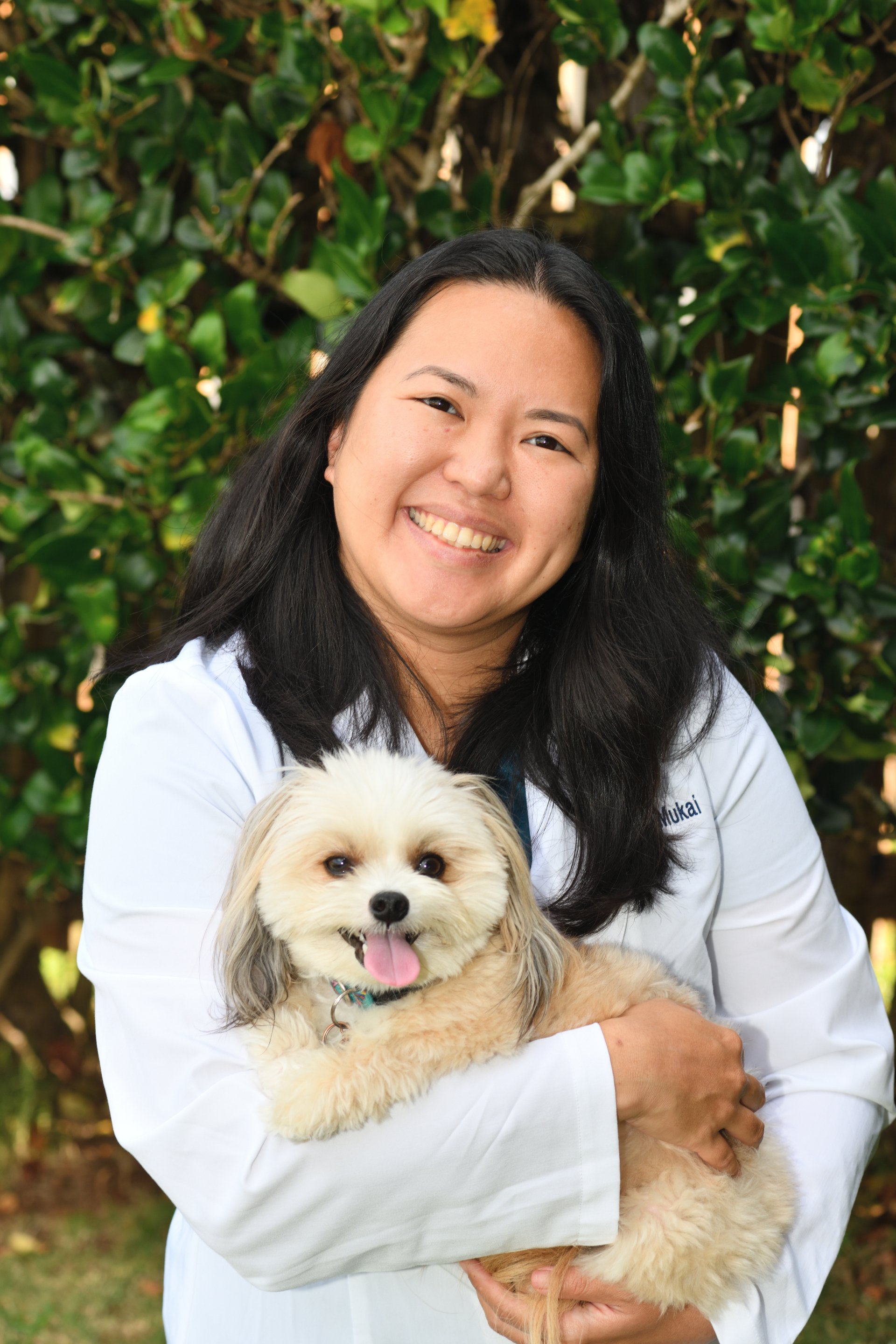 Veterinary doctor Honolulu, HI King Street Pet Hospital