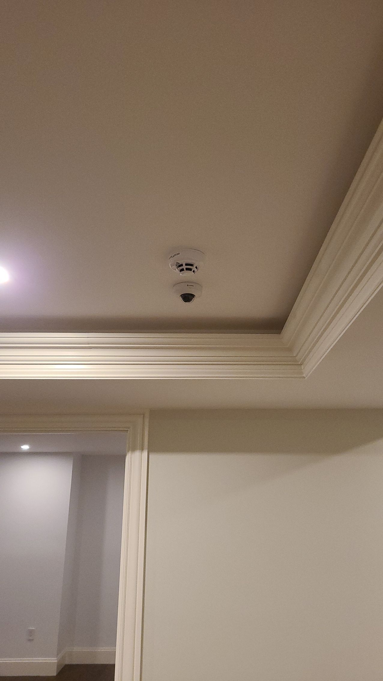 White ceiling with smoke detector and crown molding. A doorway to a hallway is on the left.