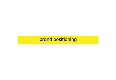 Part of the 'brand process' slide – this animated bar says 'brand positioning'