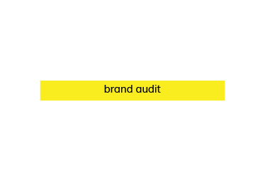 Part of the 'brand process' slide – this animated bar says 'brand audit'