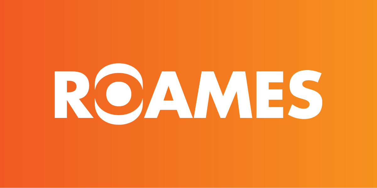 Branding Agency Brisbane – Branding logo for the ROAMES lidar aircraft, by Willmore Design
