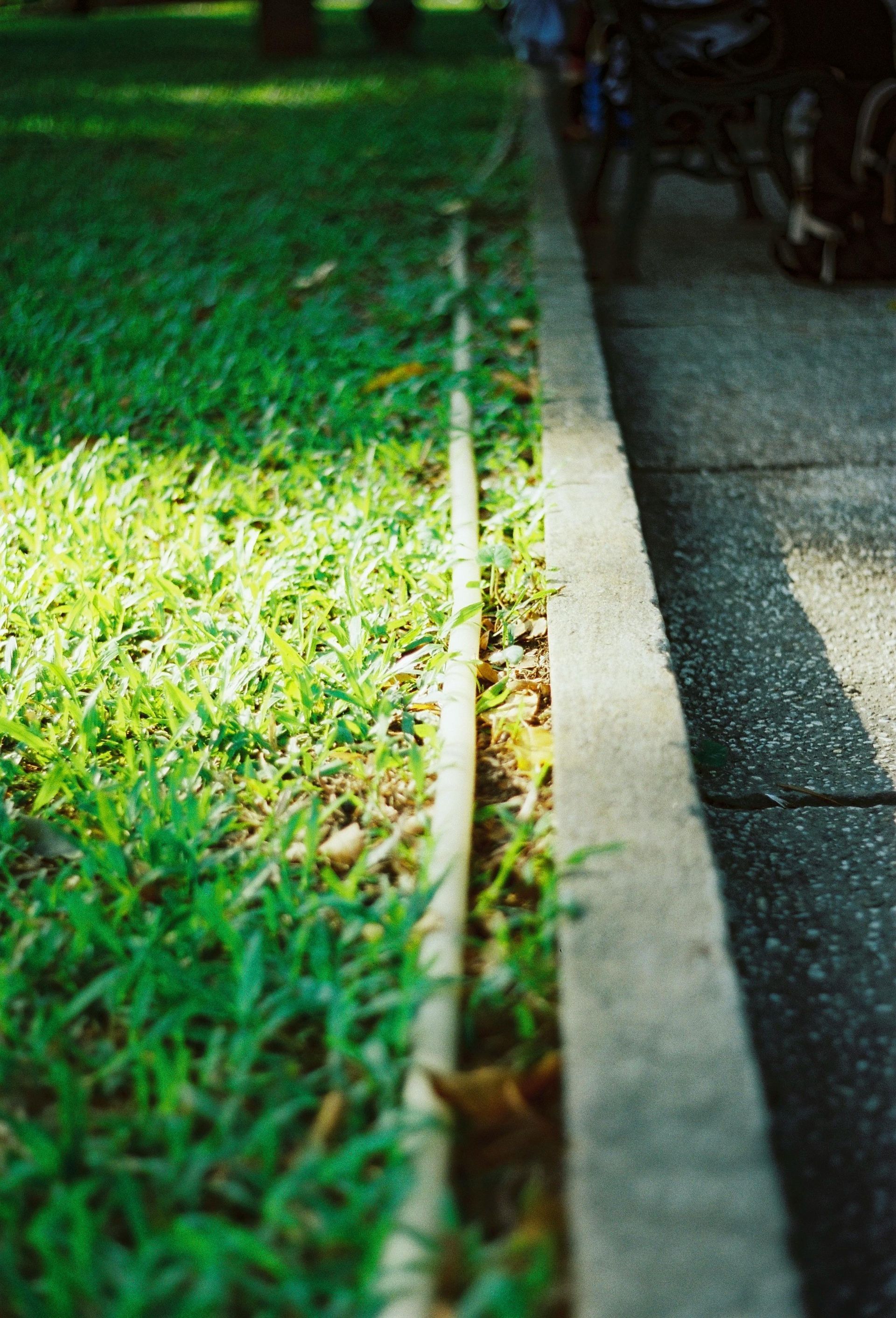 Grass beside a concrete sidewalk with parked bicycles in the background