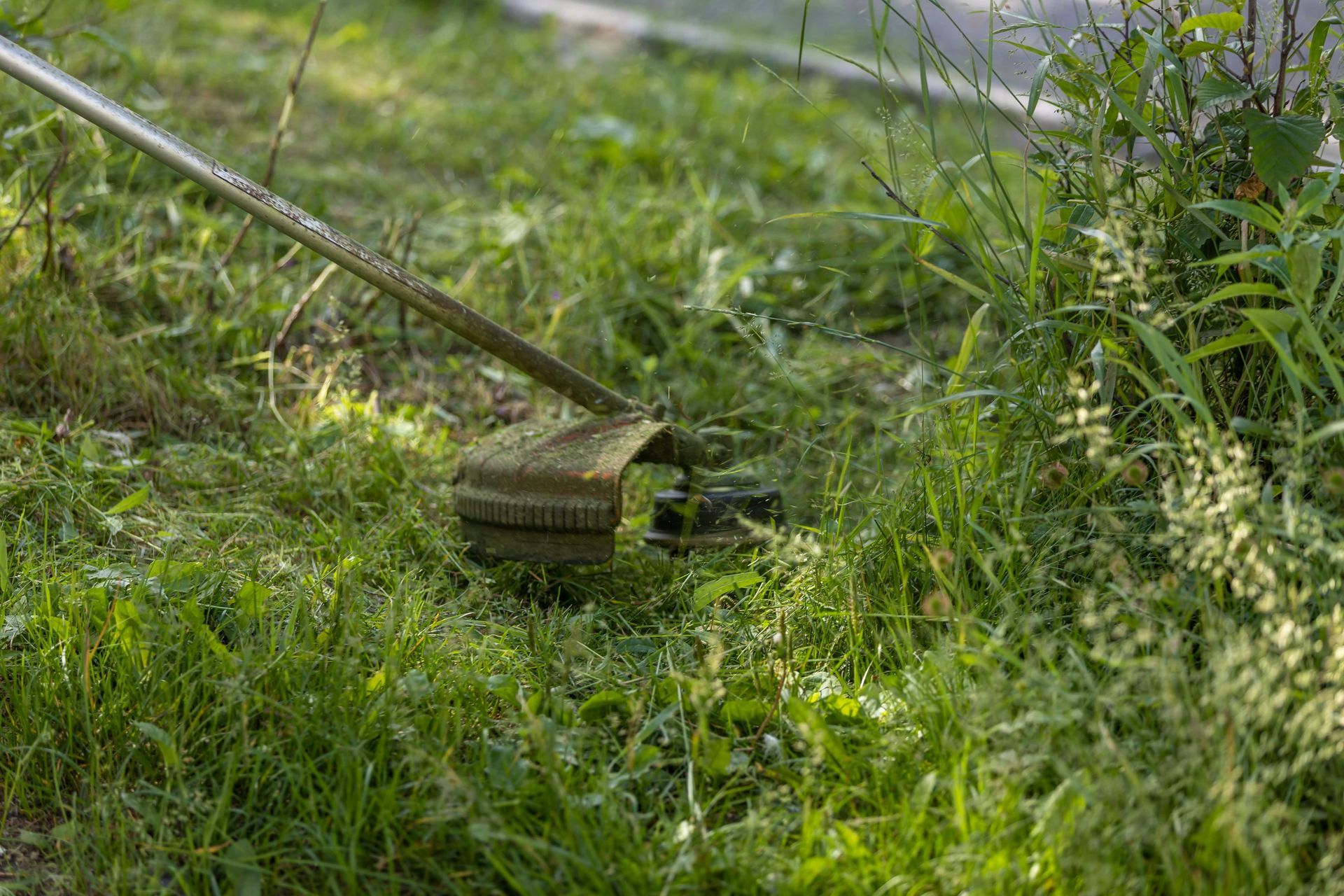 Weed trimmer resting in tall grass beside a fence