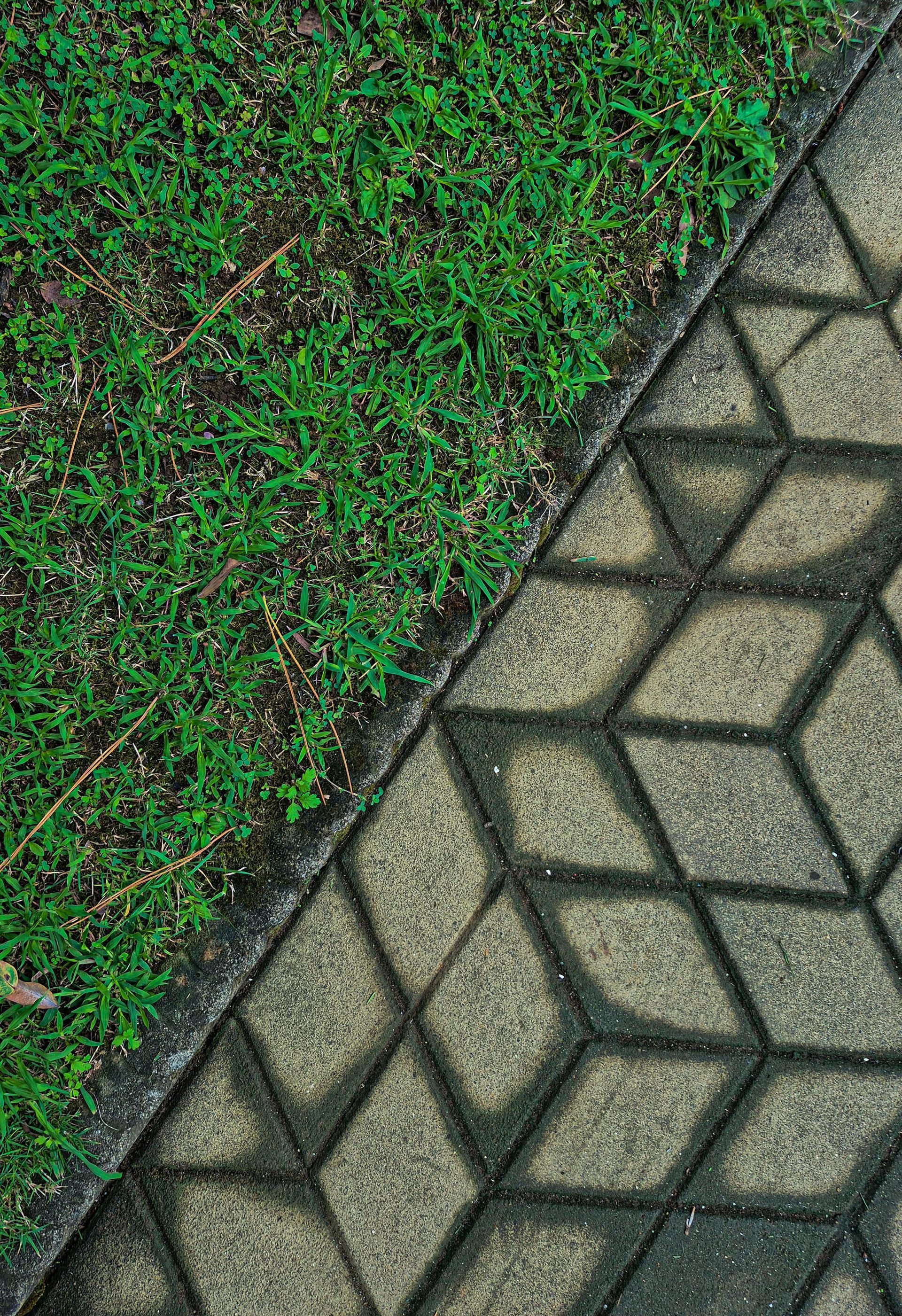 Diagonal border between green grass and gray hexagonal paving stones