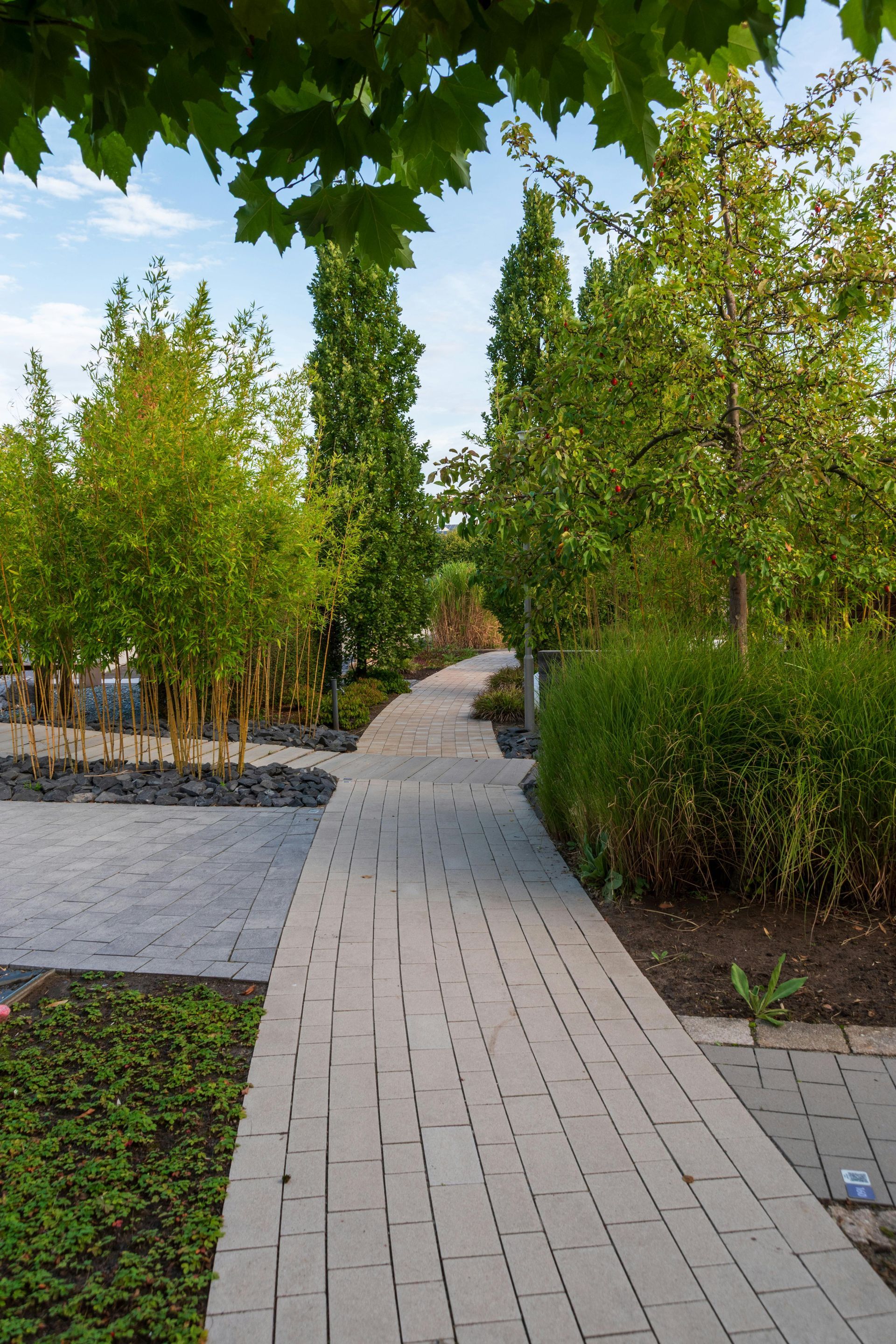 Tree-lined brick path in a park with green shrubs and overhanging leaves