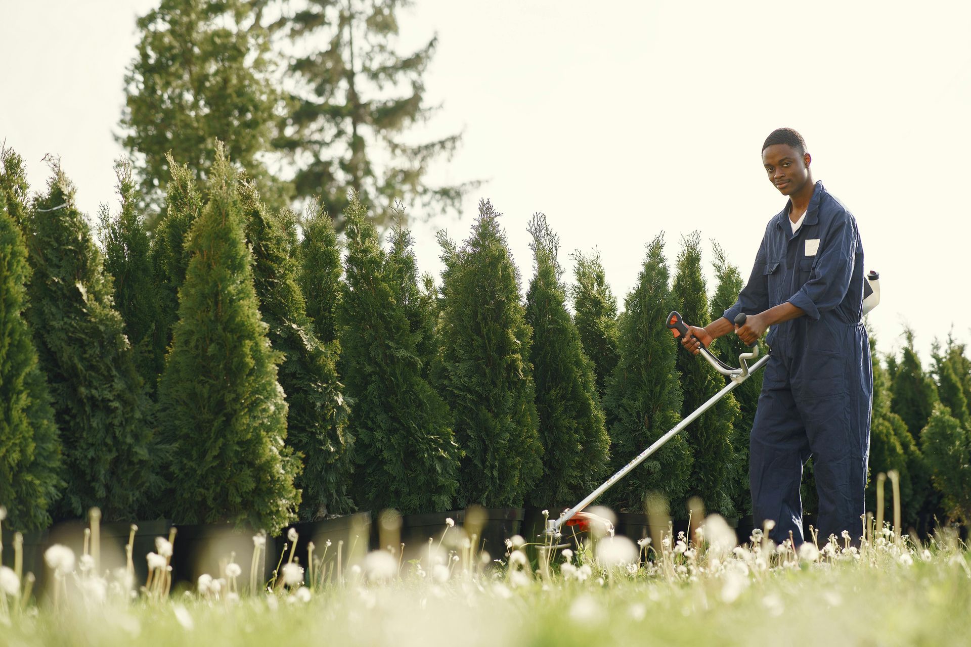 A gardener in blue coveralls sprays grass in a landscaped field with tall trees in the background