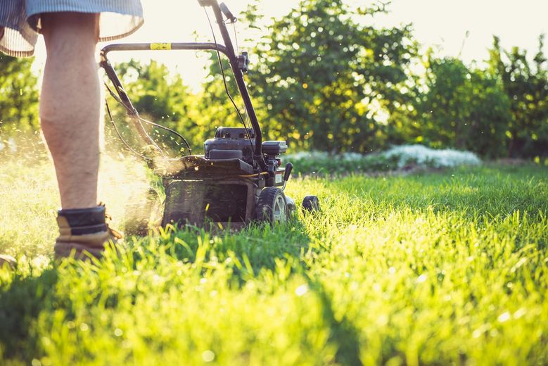 Person mowing a sunlit lawn with a push mower, grass clippings flying