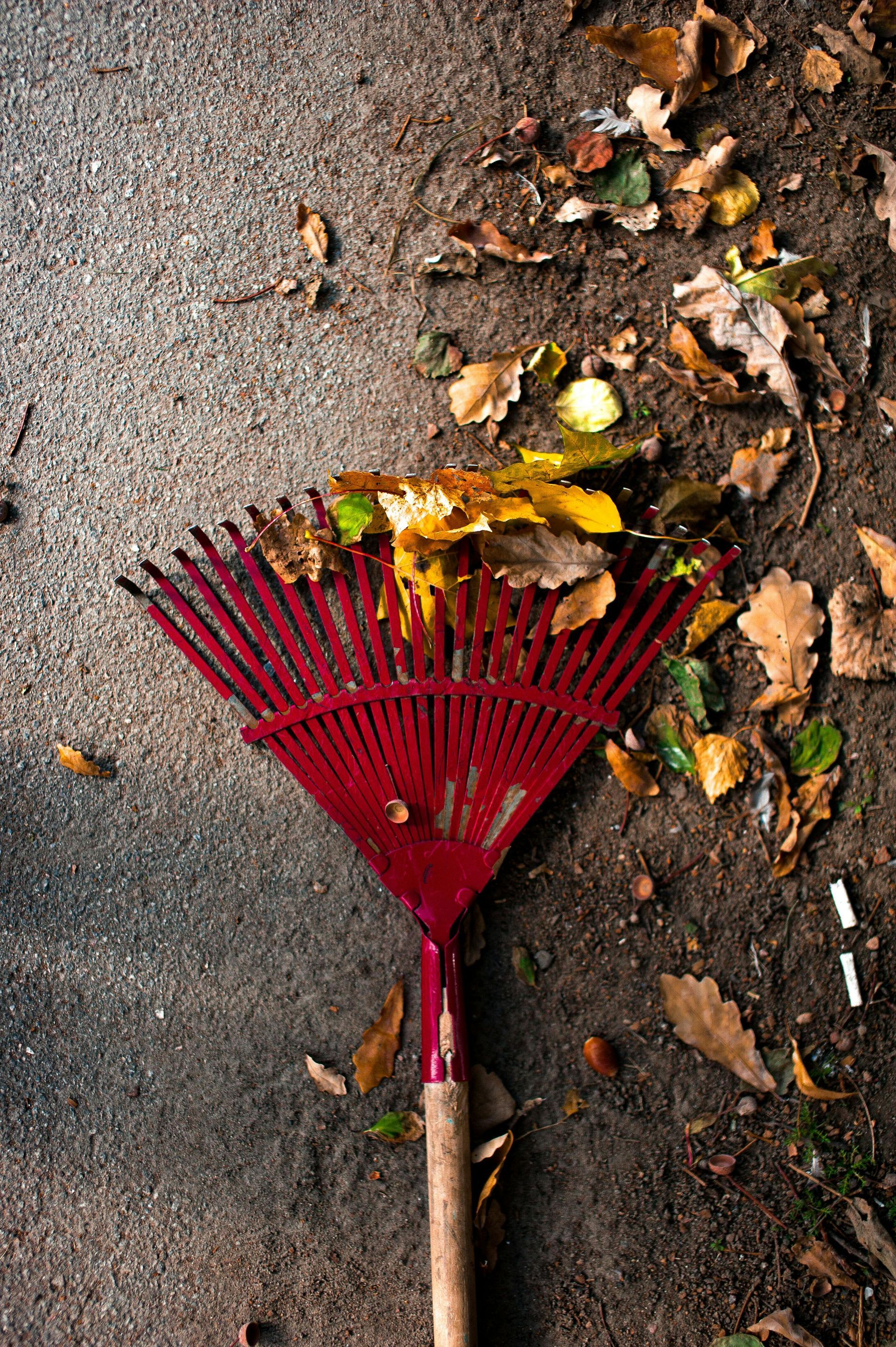 Red leaf rake resting on pavement beside a pile of autumn leaves and dirt