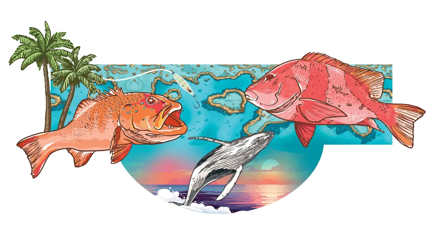 Fishing Charters in the Whitsunday Region Fishing Charters in the Whitsunday Region